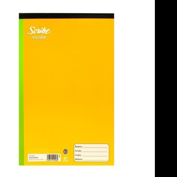 BLOCK CARTA ESCOLAR SCRIBE 4550 RAYA PEG. 80H. C.48